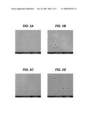 IMPLANT SURFACES AND TREATMENTS FOR WEAR REDUCTION diagram and image