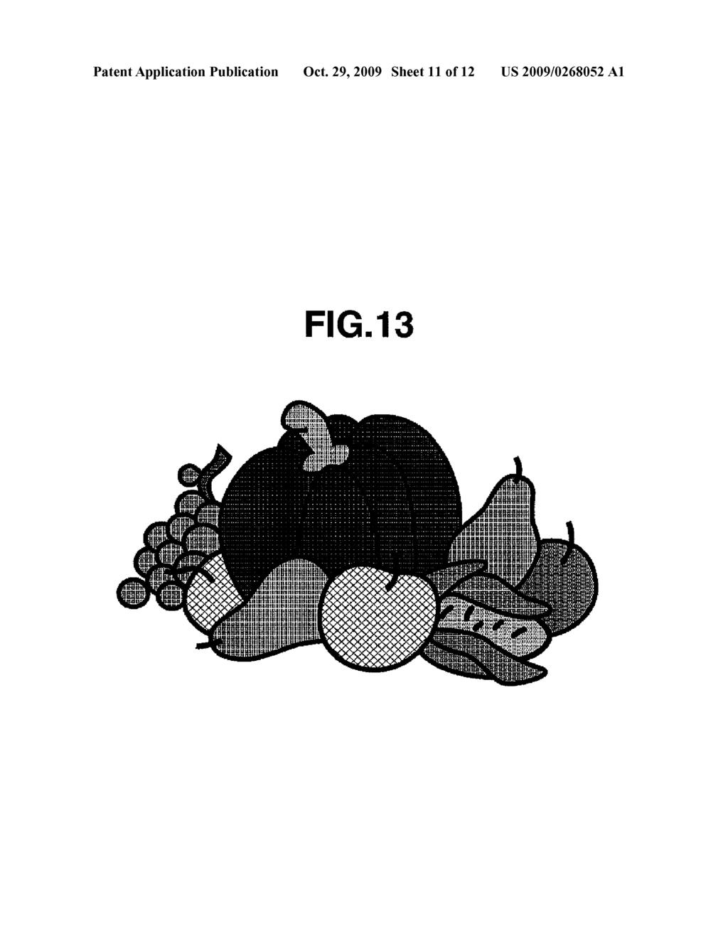 IMAGE PICKUP APPARATUS AND CONTROL METHOD THEREOF - diagram, schematic, and image 12