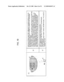 TRANSMITTER APPARATUS AND COMMUNICATION SYSTEM diagram and image