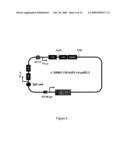 Multivalent Immunoglobulin-Based Bioactive Assemblies diagram and image