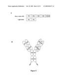 Multivalent Immunoglobulin-Based Bioactive Assemblies diagram and image