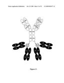 Multivalent Immunoglobulin-Based Bioactive Assemblies diagram and image