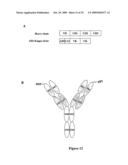 Multivalent Immunoglobulin-Based Bioactive Assemblies diagram and image