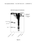 Multivalent Immunoglobulin-Based Bioactive Assemblies diagram and image