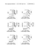 Calcium/Calmodulin-Dependent Protein Kinase Kinase as a Control Point for Cardiac Hypertrophy diagram and image