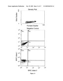 PROGENITOR CELLS FROM WHARTON S JELLY OF HUMAN UMBILICAL CORD diagram and image