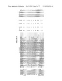 Compositions Comprising Receptor-Associated Protein (RAP) Variants Specific for LRP2 and Uses Thereof diagram and image