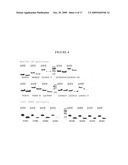 Compositions Comprising Receptor-Associated Protein (RAP) Variants Specific for LRP2 and Uses Thereof diagram and image