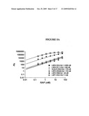 Compositions Comprising Receptor-Associated Protein (RAP) Variants Specific for LRP2 and Uses Thereof diagram and image