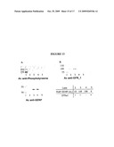 Compositions Comprising Receptor-Associated Protein (RAP) Variants Specific for LRP2 and Uses Thereof diagram and image