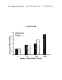 Compositions Comprising Receptor-Associated Protein (RAP) Variants Specific for LRP2 and Uses Thereof diagram and image