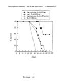 METHOD FOR SCREENING PEPTIDES FOR USE IN IMMUNOTHERAPY diagram and image