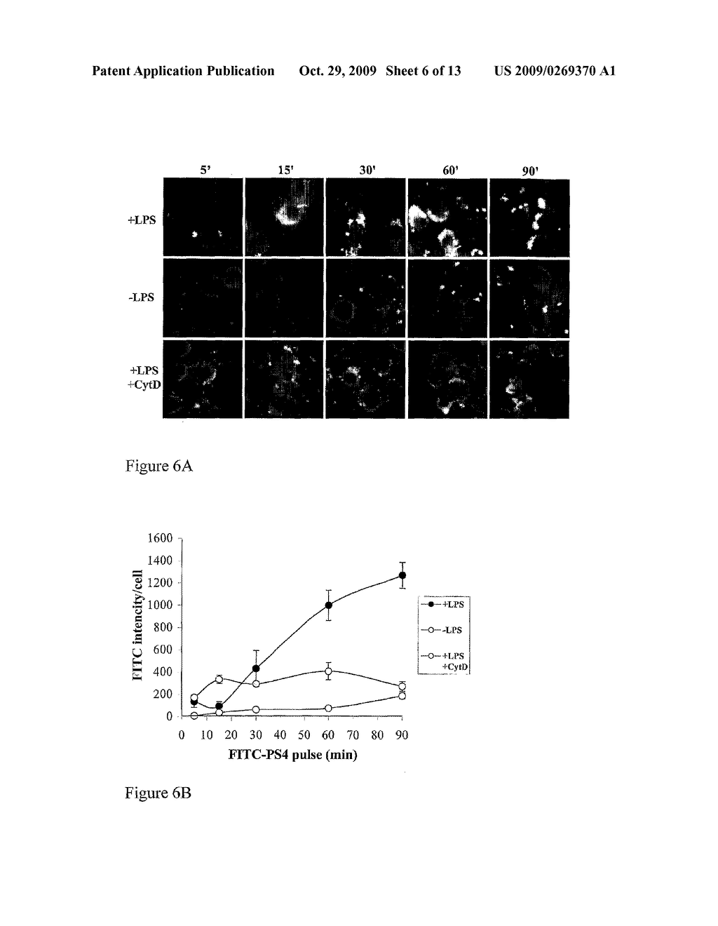 VACCINES COMPRISING MULTIMERIC HSP60 PEPTIDE CARRIERS - diagram, schematic, and image 07