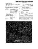 Drug Delivery System And Methods Of Use diagram and image