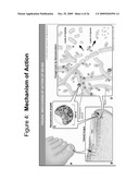 METHODS AND COMPOSITIONS FOR TREATING ONCHOMYCOSIS diagram and image