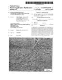 SEPARATOR PROVIDED WITH ASYMMETRICAL PORE STRUCTURES FOR AN ELECTROCHEMICAL CELL diagram and image