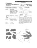 Porous Electrically Conductive Carbon Material And Uses Thereof diagram and image