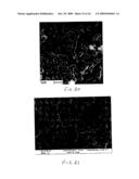 Porous Electrically Conductive Carbon Material And Uses Thereof diagram and image