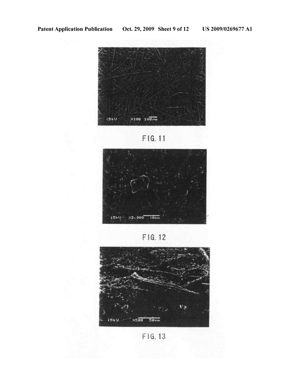 ANODE AND SECONDARY BATTERY - diagram, schematic, and image 10