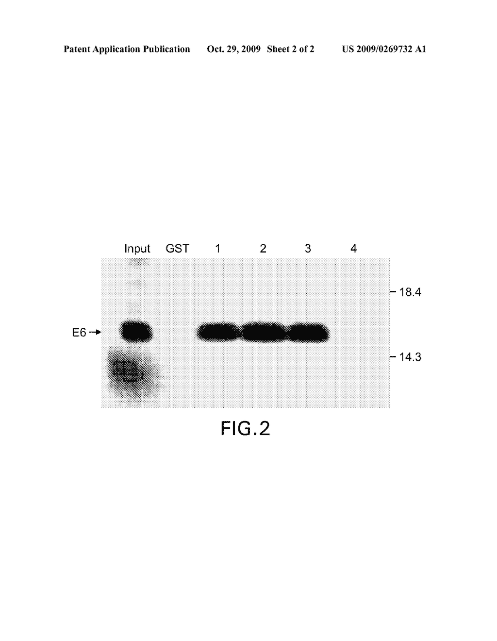 Methods for Diagnosing Oncogenic Human Papillomavirus (HPV) - diagram, schematic, and image 03