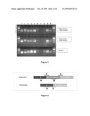 CANCER DETECTION METHOD diagram and image