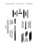 MICROSEQUENCER-WHOLE GENOME SEQUENCER diagram and image