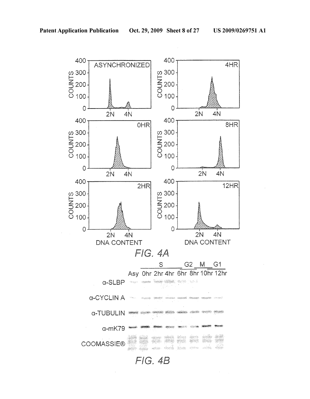 DOT1 HISTONE METHYLTRANSFERASES AS A TARGET FOR IDENTIFYING THERAPEUTIC AGENTS FOR LEUKEMIA - diagram, schematic, and image 09