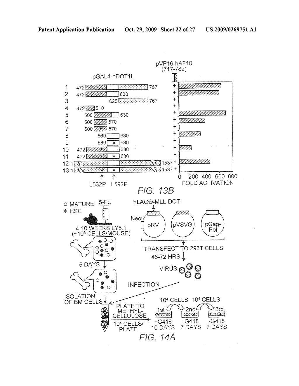 DOT1 HISTONE METHYLTRANSFERASES AS A TARGET FOR IDENTIFYING THERAPEUTIC AGENTS FOR LEUKEMIA - diagram, schematic, and image 23