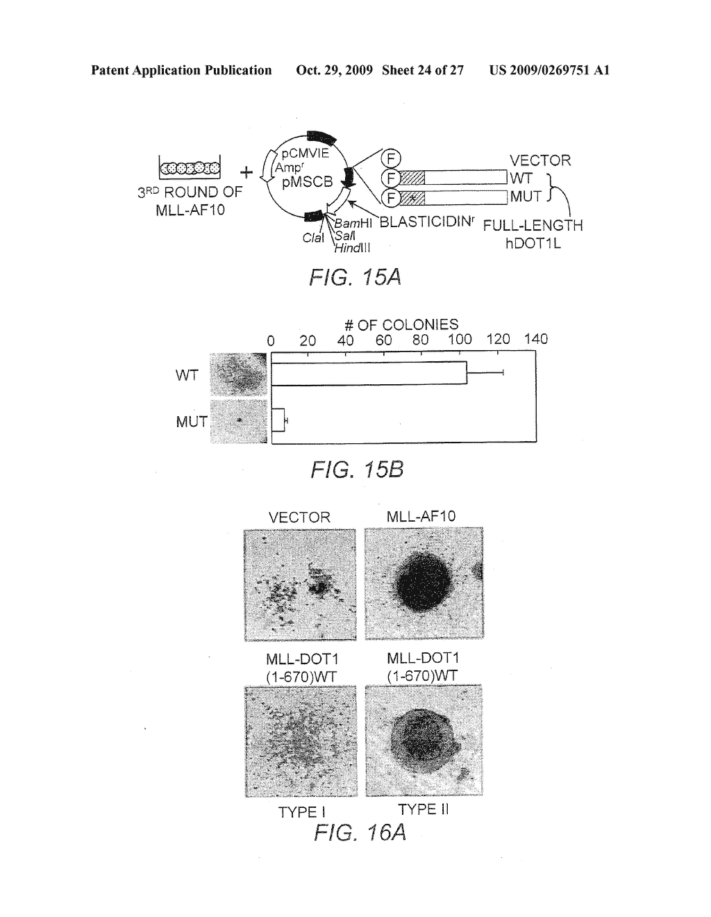 DOT1 HISTONE METHYLTRANSFERASES AS A TARGET FOR IDENTIFYING THERAPEUTIC AGENTS FOR LEUKEMIA - diagram, schematic, and image 25