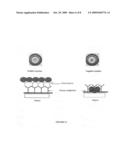 Magnetic Immunodiagnostic Method for the Demonstration of Antibody/Antigen Complexes especially of blood groups diagram and image