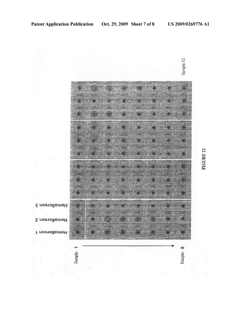 Magnetic Immunodiagnostic Method for the Demonstration of Antibody/Antigen Complexes especially of blood groups - diagram, schematic, and image 08