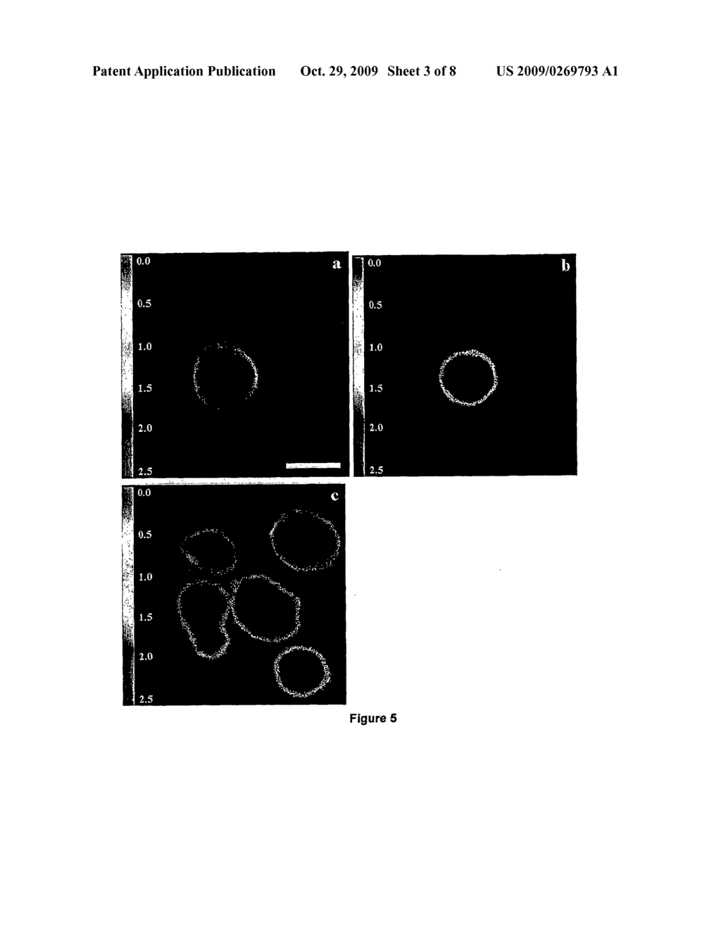 Compounds and Kits for the Detection and the Quantification of Cell Apoptosis - diagram, schematic, and image 04