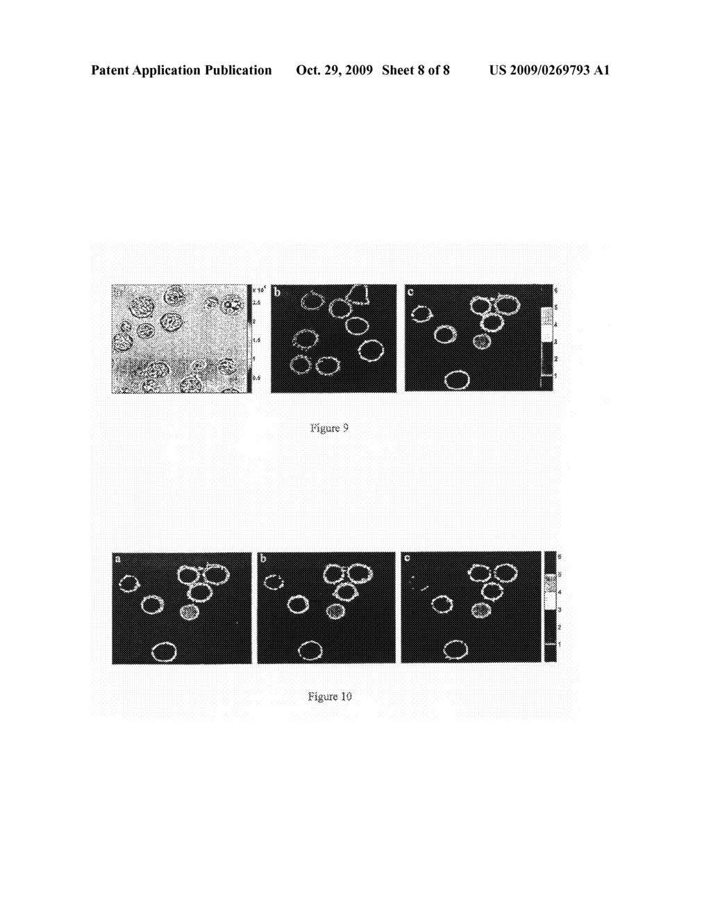 Compounds and Kits for the Detection and the Quantification of Cell Apoptosis - diagram, schematic, and image 09