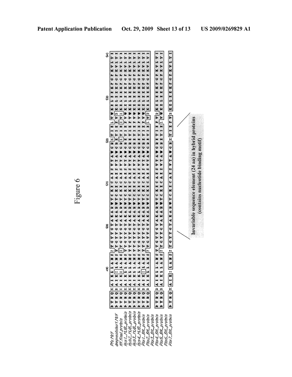 NOVEL COMPOSITIONS WITH POLYMERASE ACTIVITY - diagram, schematic, and image 14