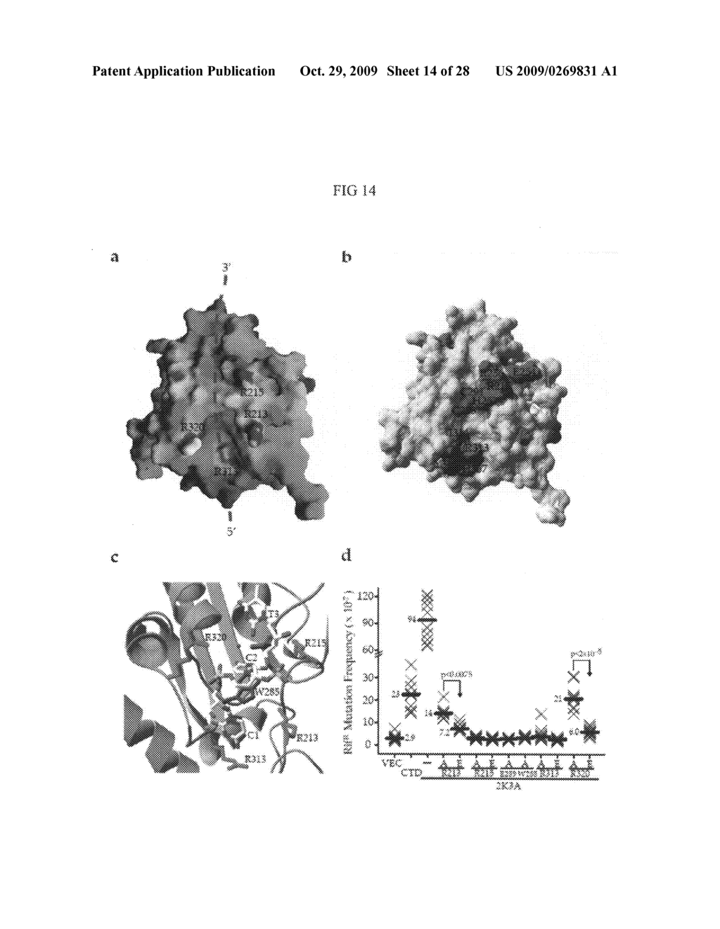 Modified cytosine deaminases - diagram, schematic, and image 15