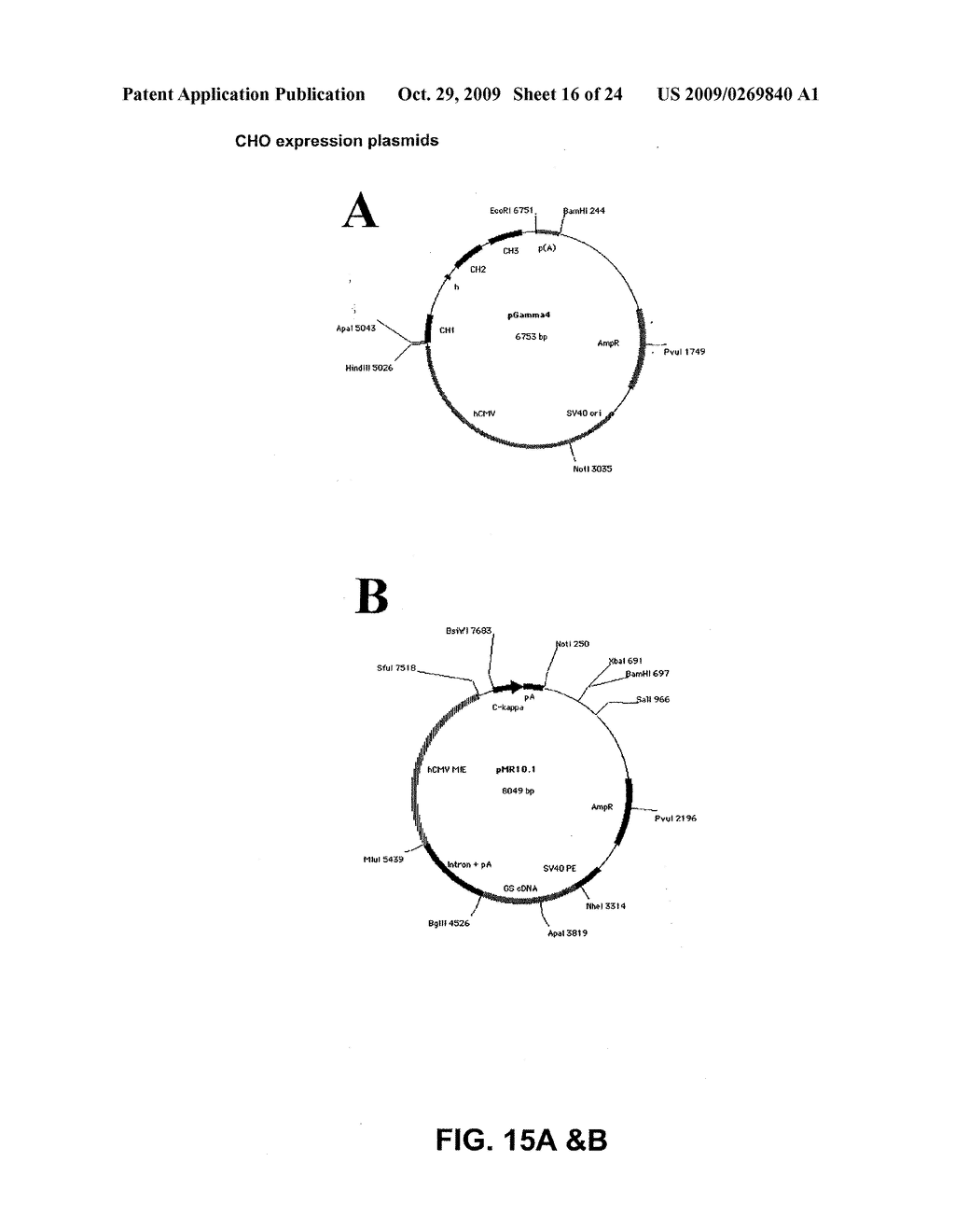 Biological Products - diagram, schematic, and image 17