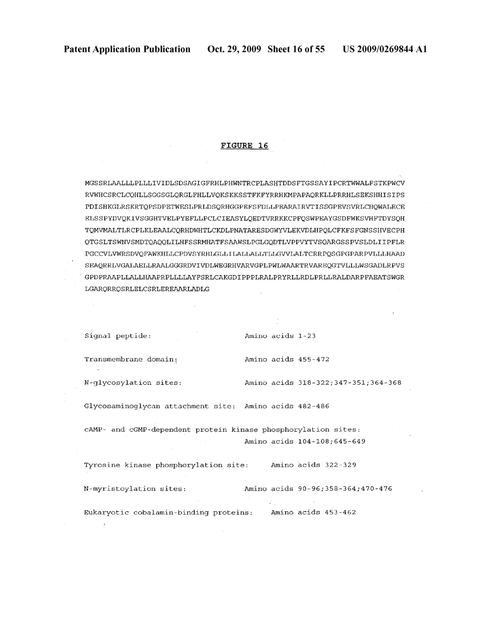 NUCLEIC ACIDS ENCODING A RECEPTOR FOR IL-17 HOMOLOGOUS POLYPEPTIDES - diagram, schematic, and image 17