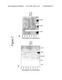 PLURIPOTENT CELLS diagram and image