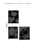 PLURIPOTENT CELLS diagram and image