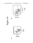 PLURIPOTENT CELLS diagram and image