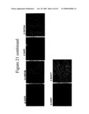 PLURIPOTENT CELLS diagram and image