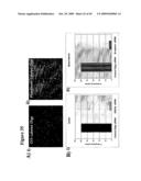 PLURIPOTENT CELLS diagram and image