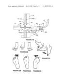 FOOT EXERCISER AND ASSOCIATED METHODS diagram and image