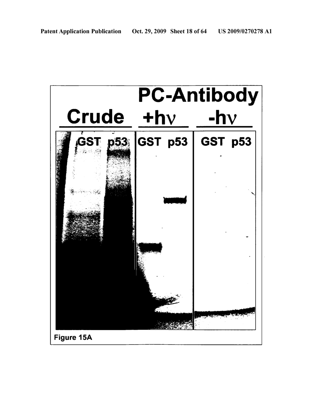 Methods and compounds for making arrays - diagram, schematic, and image 19