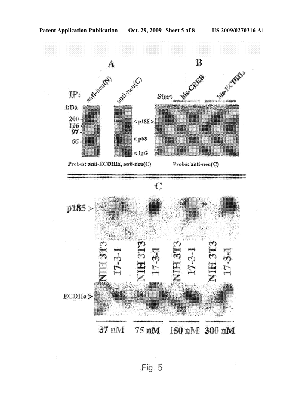 HER-2 BINDING ANTAGONISTS - diagram, schematic, and image 06