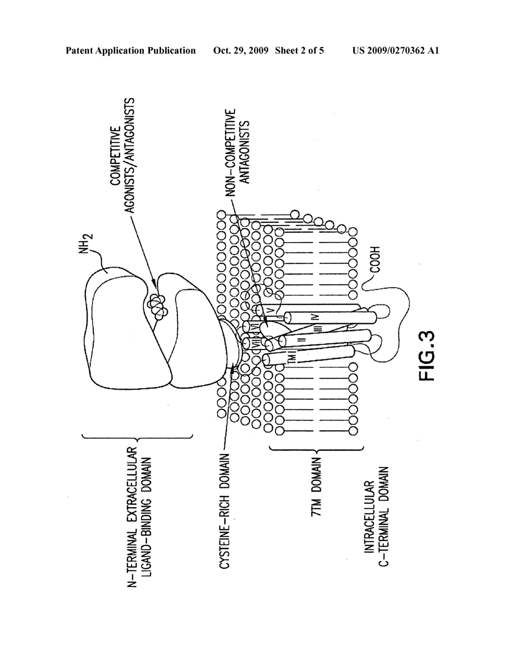 BICYCLIC MGLUR5 POSITIVE ALLOSTERIC MODULATORS AND METHODS OF MAKING AND USING SAME - diagram, schematic, and image 03