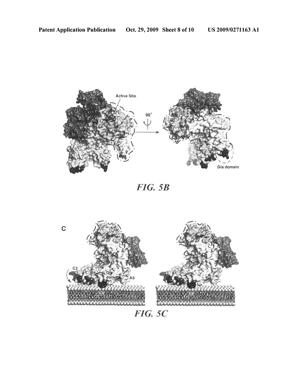 Crystal structure of human factor VIII and uses thereof - diagram, schematic, and image 09