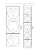 VIRTUAL LESION QUANTIFICATION diagram and image