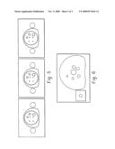 VIRTUAL LESION QUANTIFICATION diagram and image