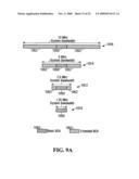 Initial Access Channel for Scalable Wireless Mobile Communication Networks diagram and image